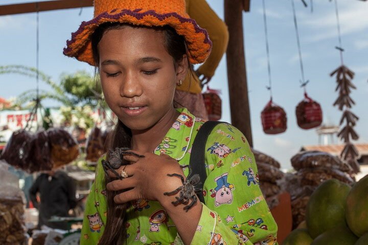 Девочка играет с несколькими тарантулами в лавке своей семьи недалеко от рынка Скуон
